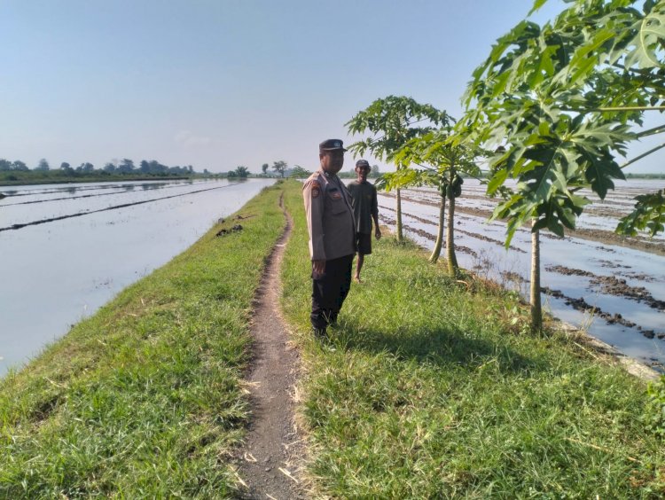 Polresta Sidoarjo Sinergi dengan Warga Optimalkan Pekarangan Pangan Bergizi